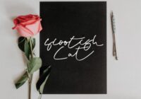 Scootish Cat Font - Featured Image