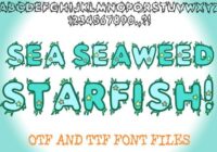 Sea Seaweed Starfish Font - Featured Image