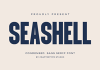 Seashell Font - Featured Image