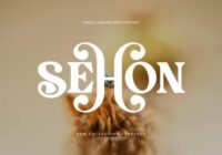 Sehon Font - Featured Image