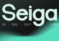 Seiga Font - Featured Image