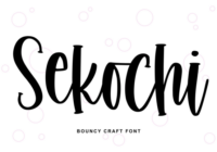 Sekochi Font - Featured Image