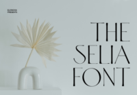 Selia Font - Featured Image