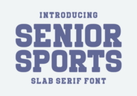 Senior Sports Font - Featured Image