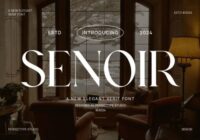 Senoir Font - Featured Image