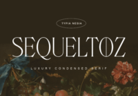 Sequeltoz Font - Featured Image