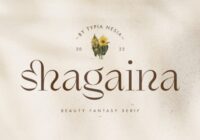 Shagaina Font - Featured Image