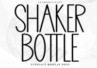 Shaker Bottle Font - Featured Image