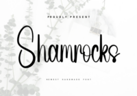 Shamrocks Font - Featured Image