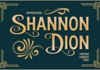 Shannon Dion Font - Featured Image