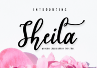 Sheila Script Font - Featured Image