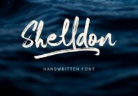 Shelldon Font - Featured Image