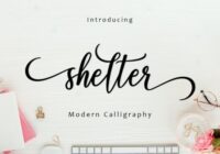 Shelter Script Font - Featured Image