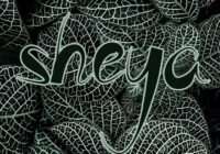 Sheya Font - Featured Image