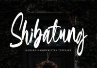 Shibatung Font - Featured Image
