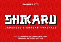 Shikaru Font - Featured Image