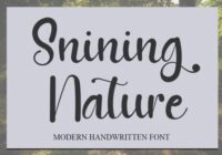 Shining Nature Font - Featured Image