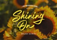 Shining on Font - Featured Image