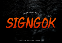 Signgok Font - Featured Image