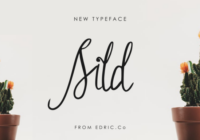 Sild Font - Featured Image