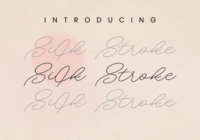 Silk Stroke Font - Featured Image