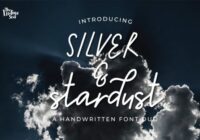 Silver & Stardust Duo Font - Featured Image