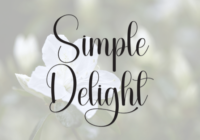 Simple Delight Font - Featured Image