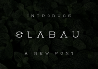 Slabau Font - Featured Image
