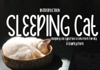 Sleeping Cat Font - Featured Image