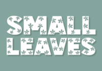 Small Leaves Font - Featured Image