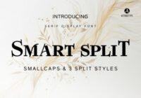 Smart Split Font - Featured Image