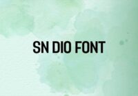 Sn Dio Font - Featured Image