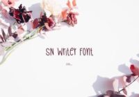 Sn Writer Font - Featured Image