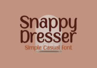 Snappy Dresser Font - Featured Image